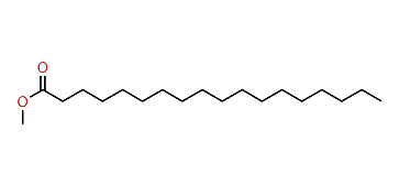 Methyl octadecanoate